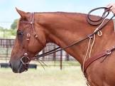 Martingales