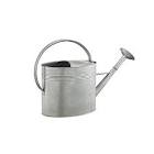 Metal Watering Can