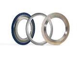 Metallic Gaskets