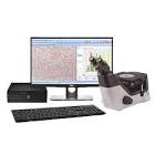 Metallurgical Software