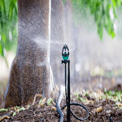 Micro Sprinkler