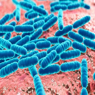 Microbial Feed Additive 