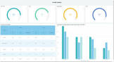 Mis Reports Services
