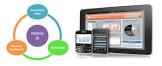 Mobile Business Intelligence