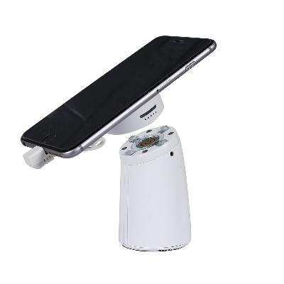Mobile Security Stands