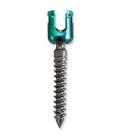 Monoaxial Screws