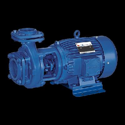 Monoset Pump