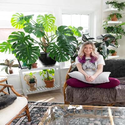 Monstera Plant