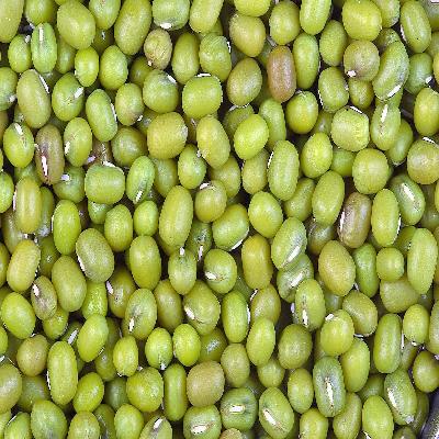 Moong Seeds
