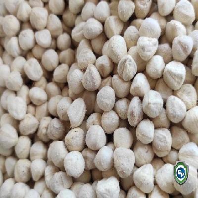 Moringa Seed Kernels