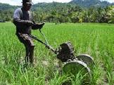 Motorized Weeder