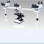 Multi Head Microscope