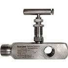 Multi-port Gauge Valves