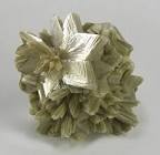 Muscovite