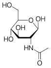N-Acetylglucosamine