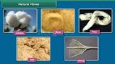 Natural Fibers