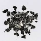 Natural Graphite