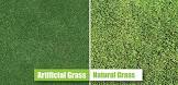 Natural Grass