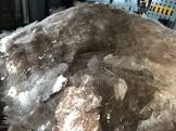 Natural Mica