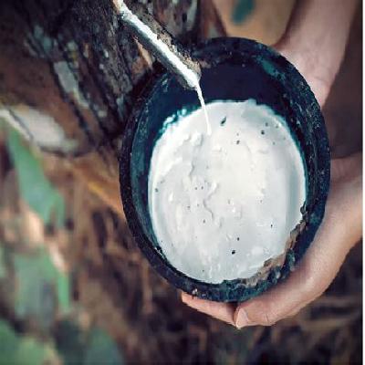 Natural Latex
