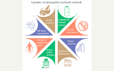 Naturopathy Treatment