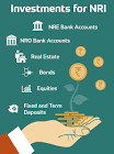 Nri Investments Services