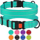 Nylon Dog Collar