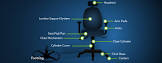 Office Chair Component