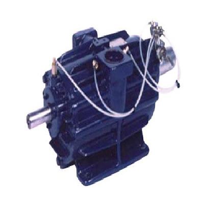 Oil Ring Vacuum Pumps