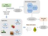 Oleochemicals