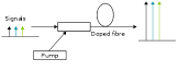 Optical Amplifiers