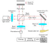 Optical Coherence Tomography