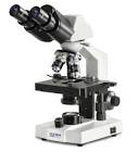 Optical Microscope