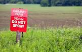 Organic Pest Control