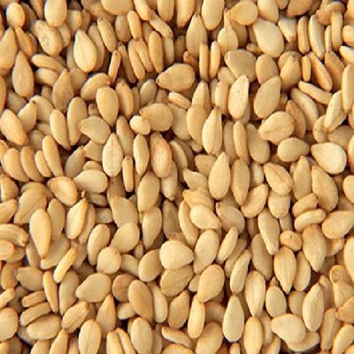 Organic Sesame Seed