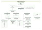 Organization Structure Services