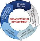 Organizational Development Consulting