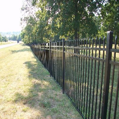 Ornamental Fence 
