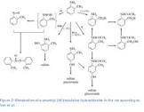Ortho Toluidine
