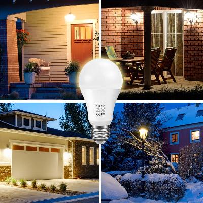 Outdoor Light Bulb