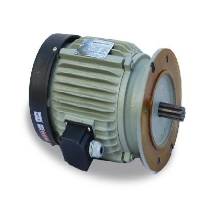 Paddle Wheel Aerator Motor 