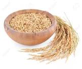 Paddy Seeds