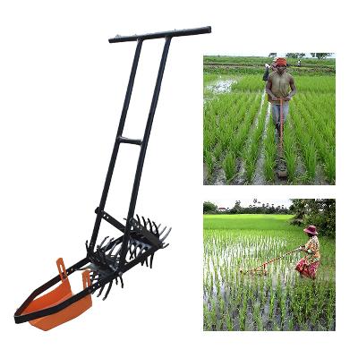 Paddy Weeder