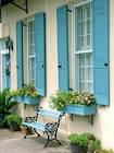 Painted Shutters
