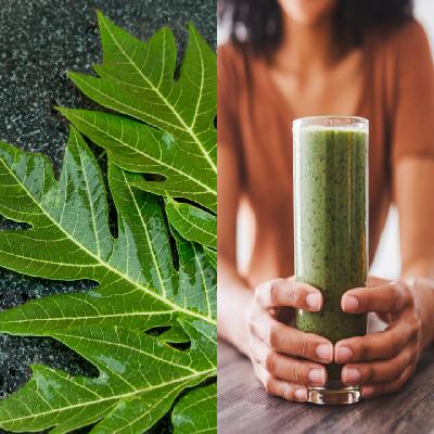 Papaya Leaf Extract