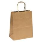 Paper Carry Bags