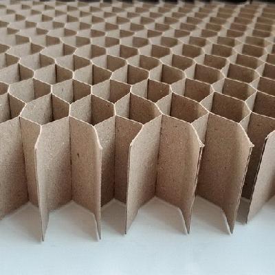 Paper Honeycomb Core