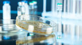 Pathogen Testing Services