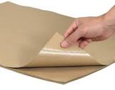PE Coated Paper
