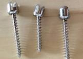 Pedicle Screw
